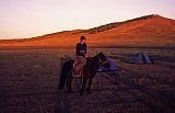 jez on a horse
